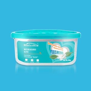 300ml Dehumidifier Box
