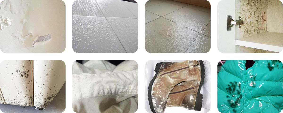 潮濕困擾
